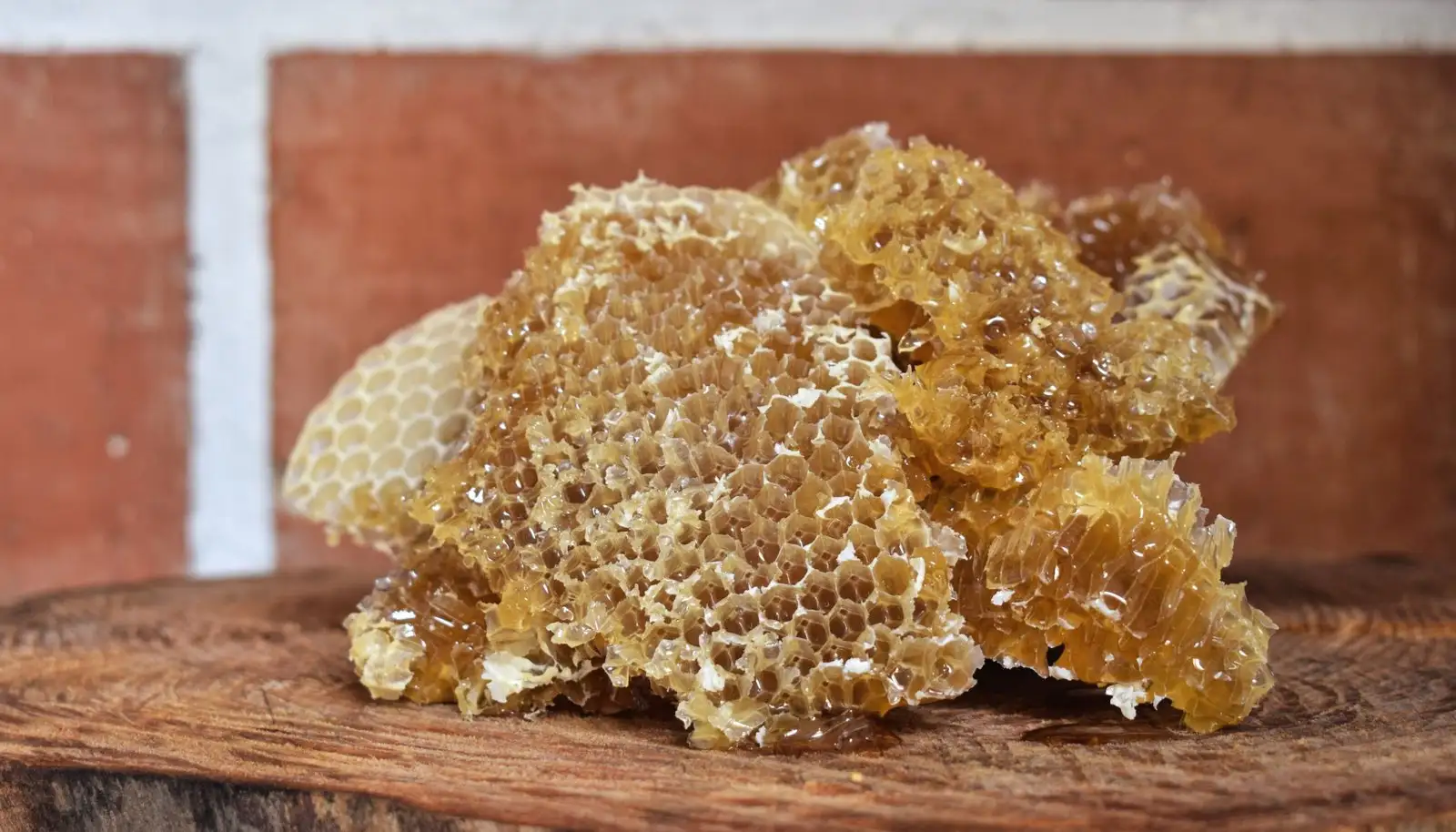 Propolis : origines, bienfaits et précautions